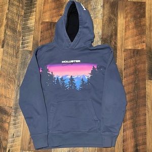 Hollister hoodie